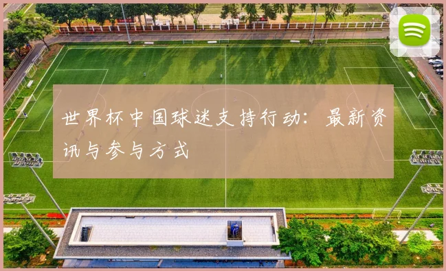 世界杯中国球迷支持行动：最新资讯与参与方式