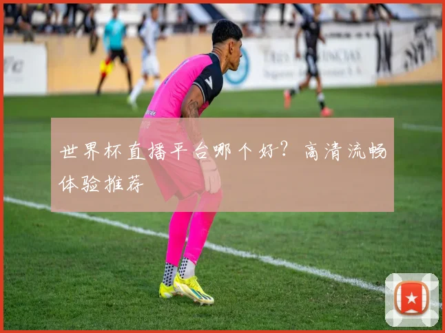 世界杯直播平台哪个好？高清流畅体验推荐