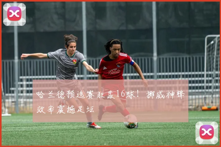 哈兰德预选赛狂轰16球！挪威神锋效率震撼足坛