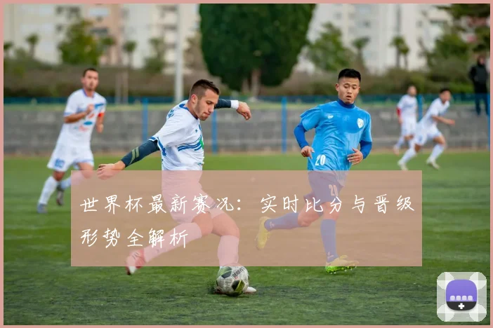 世界杯最新赛况:实时比分与晋级形势全解析
