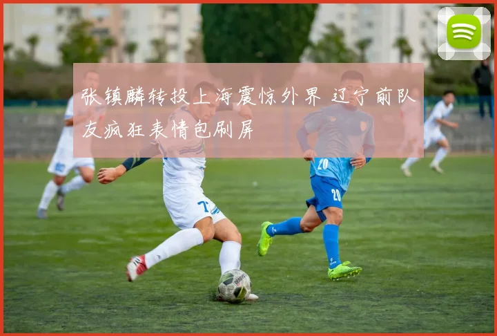 张镇麟转投上海震惊外界 辽宁前队友疯狂表情包刷屏