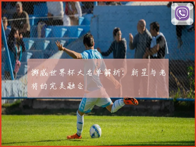 挪威世界杯大名单解析：新星与老将的完美融合