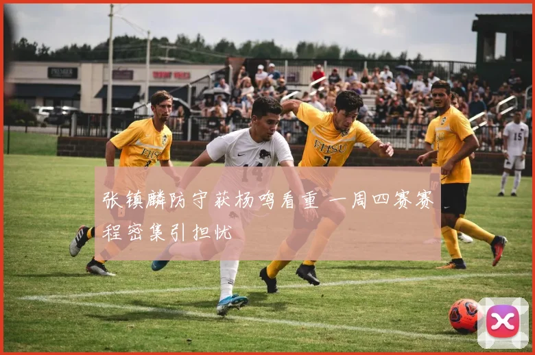 张镇麟防守获杨鸣看重 一周四赛赛程密集引担忧